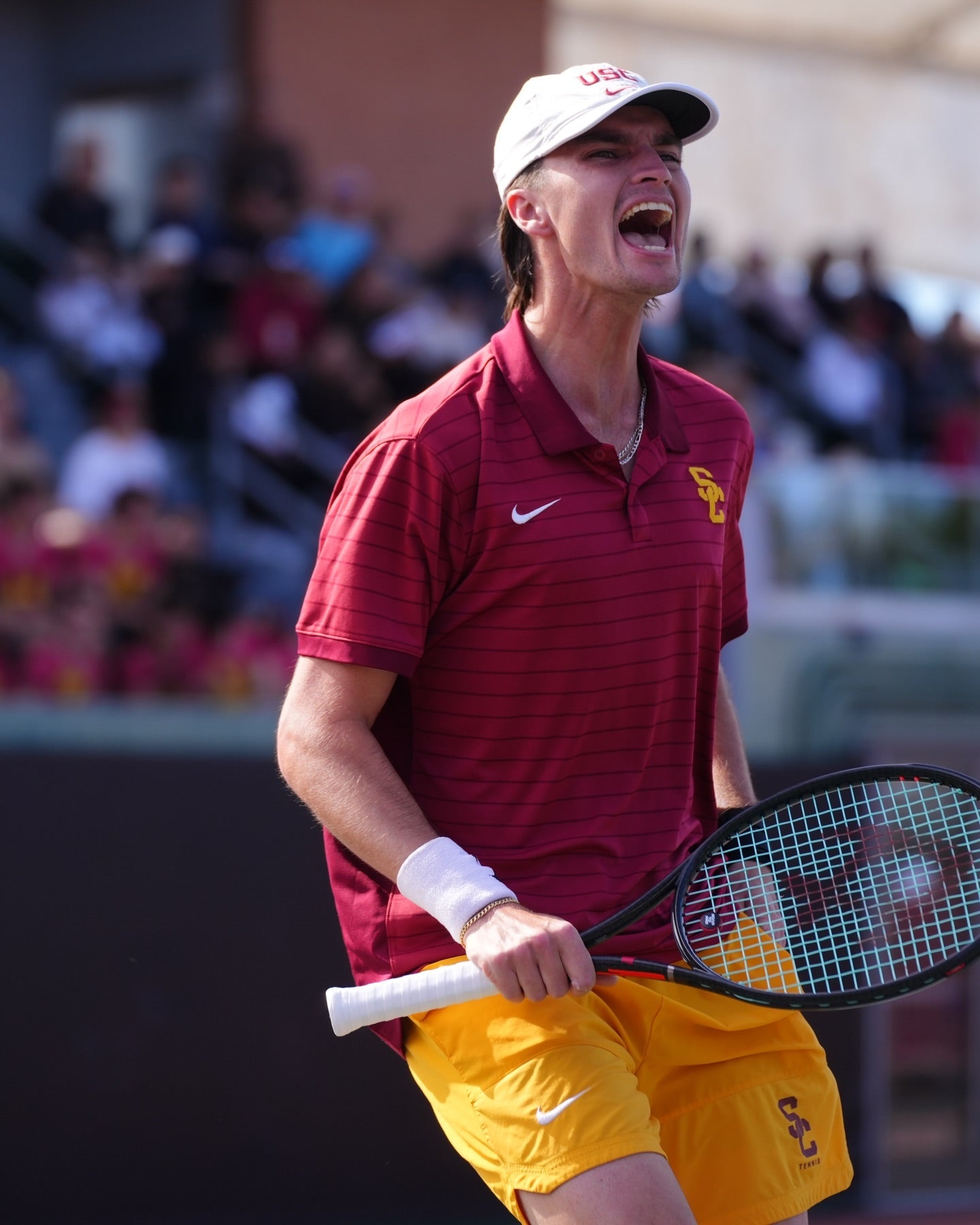 O - TORO TOUR MINI REEL - TOROLINE